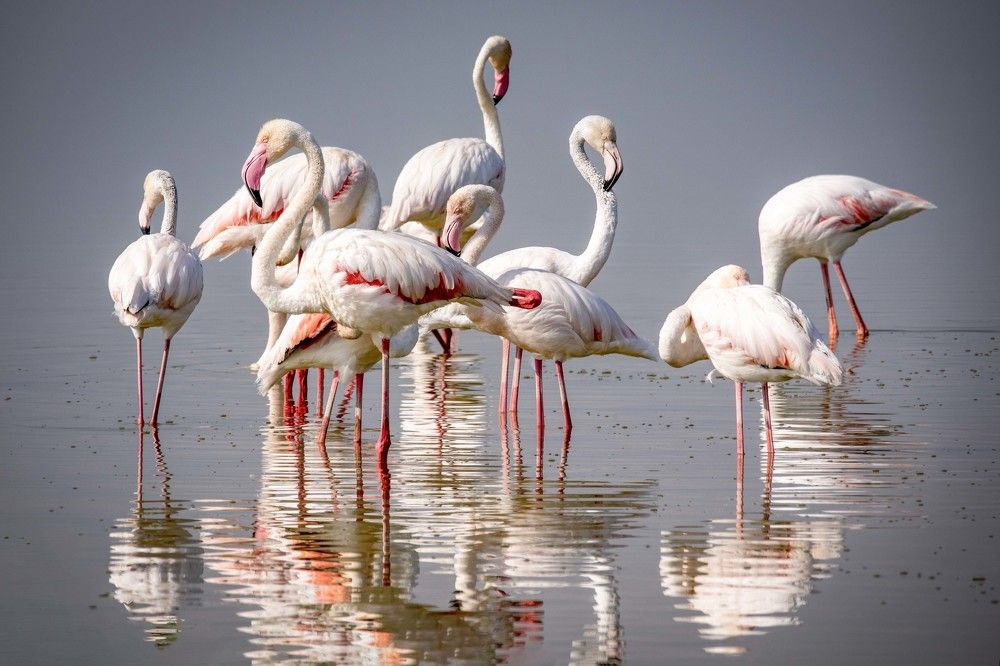 Photograph by NATALIA GOUSSEVA