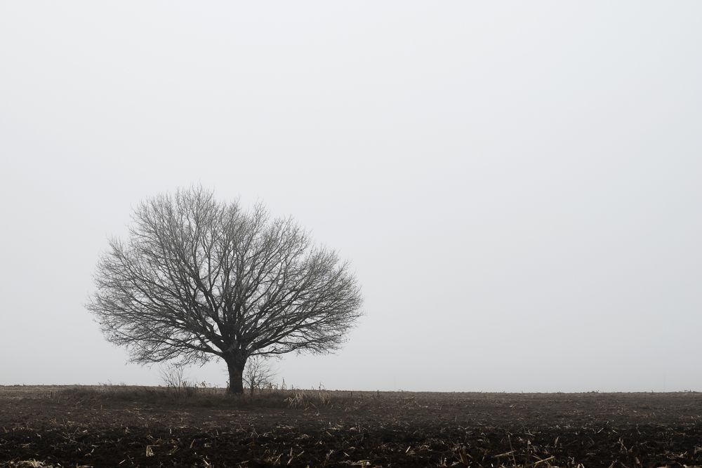 Photograph by Ольга Бегляк