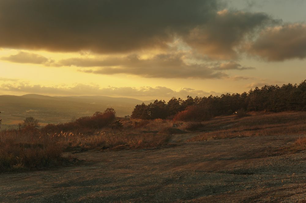 Photograph by Ксения Бабаева