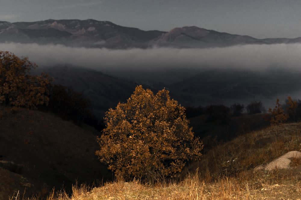 Photograph by Валерий Лейко