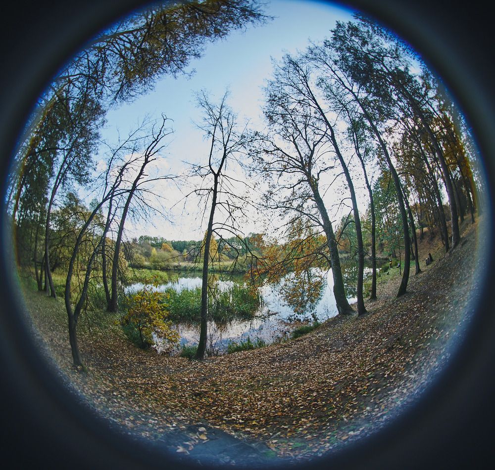 Фотография автора Евгений Вагуро