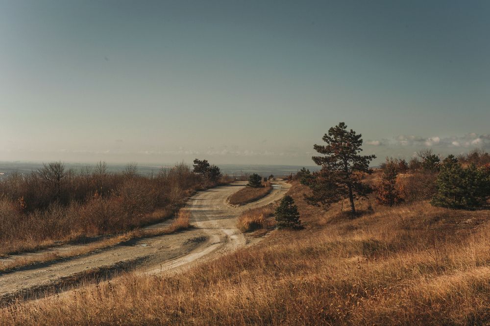 Photograph by Ксения Бабаева