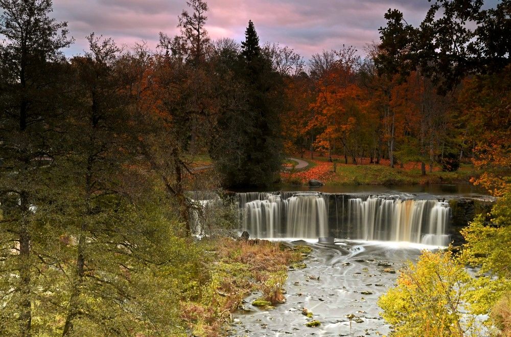 Photograph by Ija Reiman