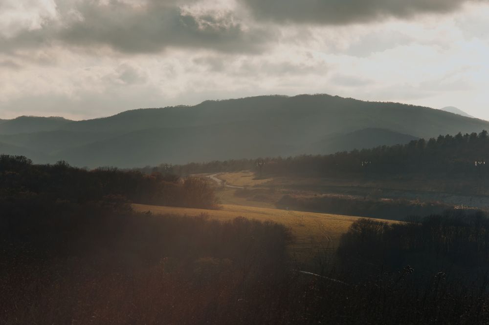 Photograph by Ксения Бабаева