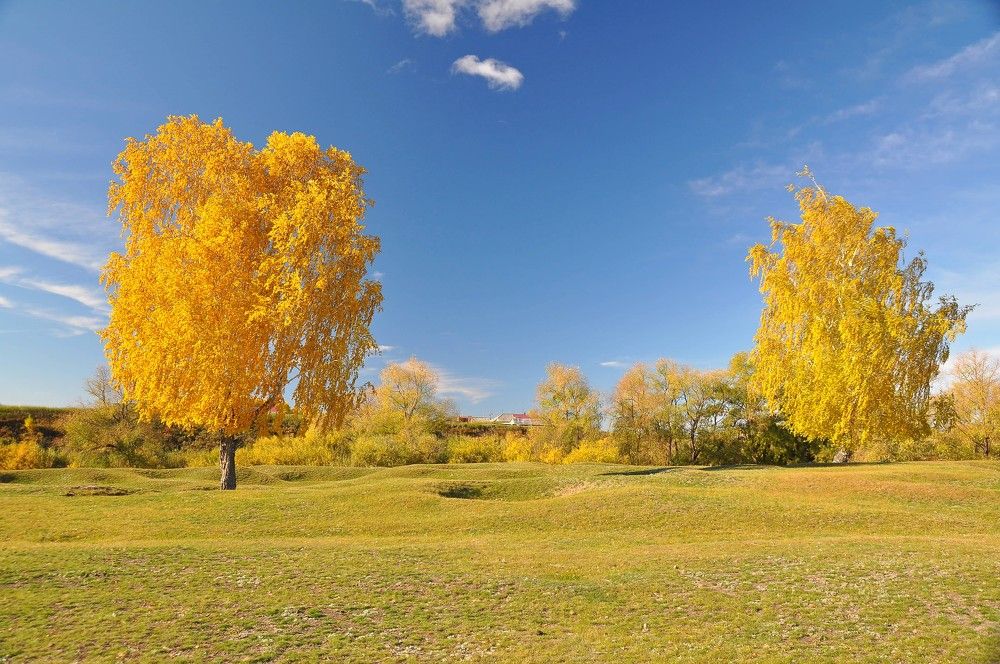 Золото осени