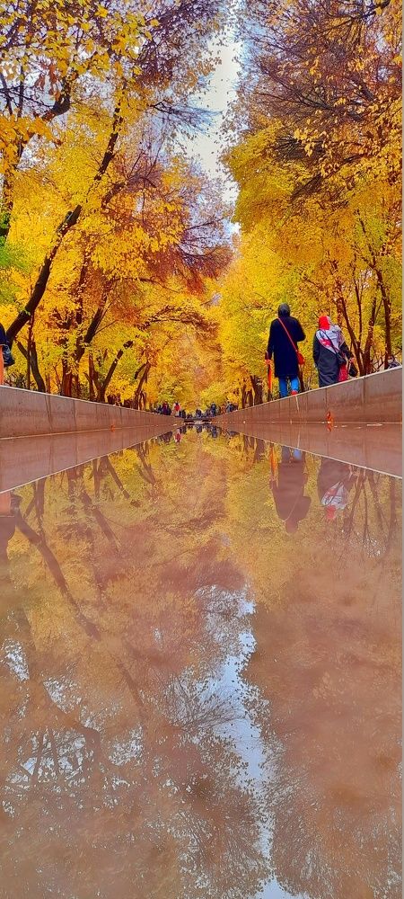 Photograph by Mohammadreza Majlesifar