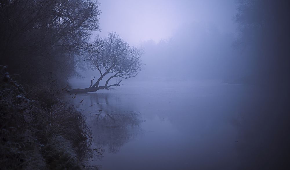 Photograph by Milena Partsuneva