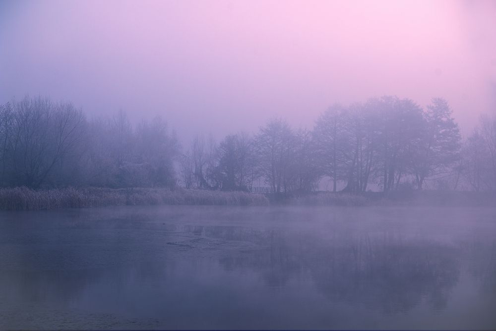 Photograph by Milena Partsuneva