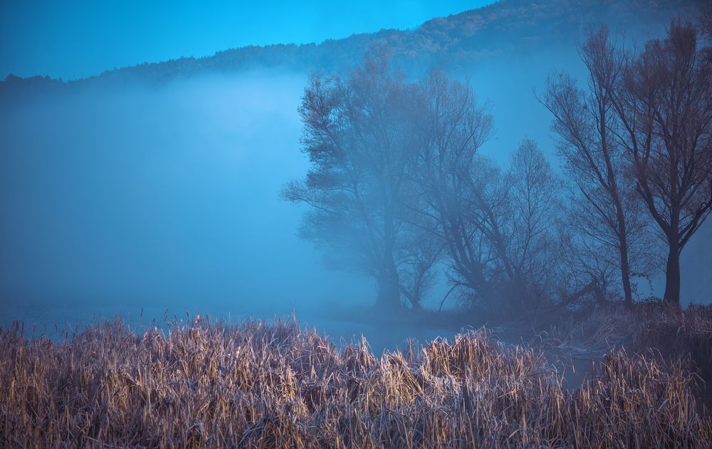 Photograph by Milena Partsuneva