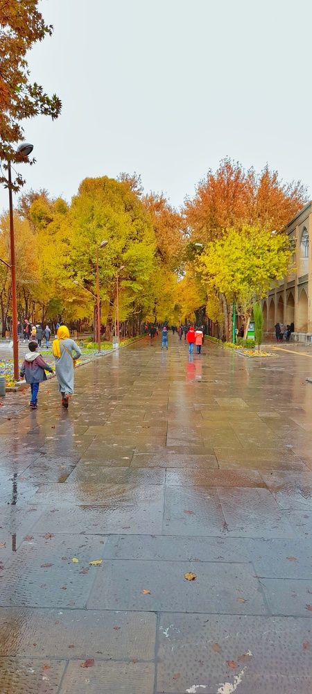 Photograph by Mohammadreza Majlesifar