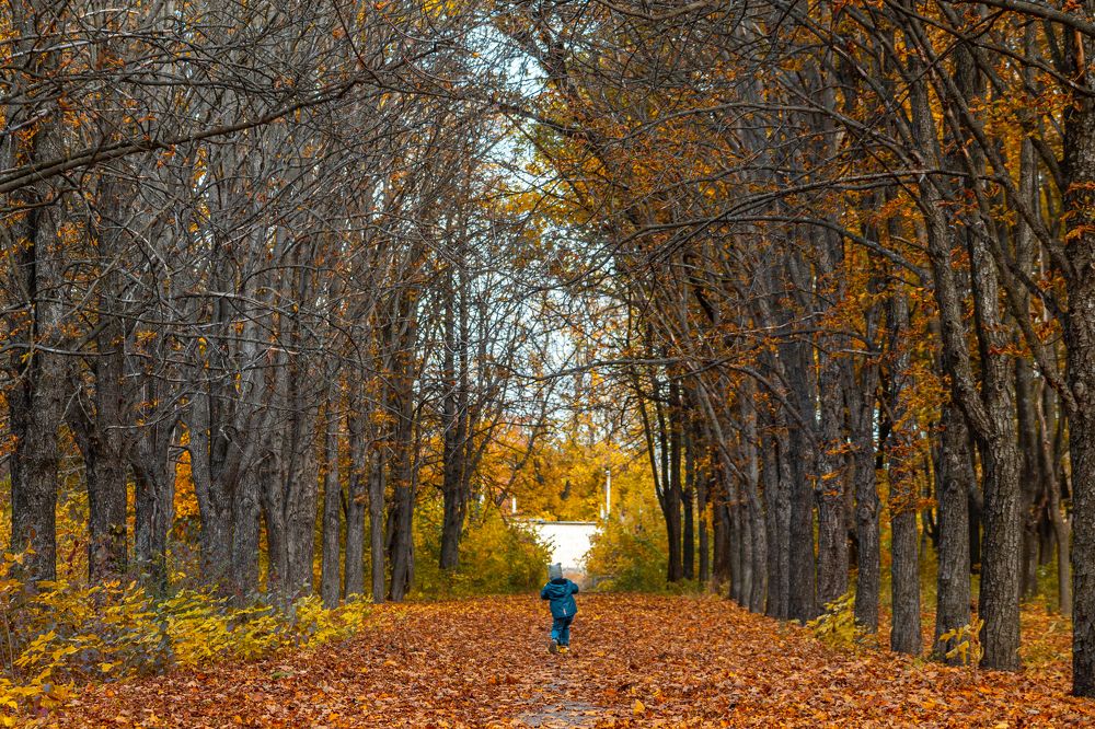Photograph by Владислав Кулиш