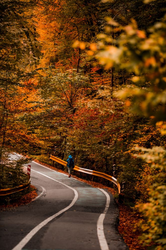 Photograph by hamidreza hadad