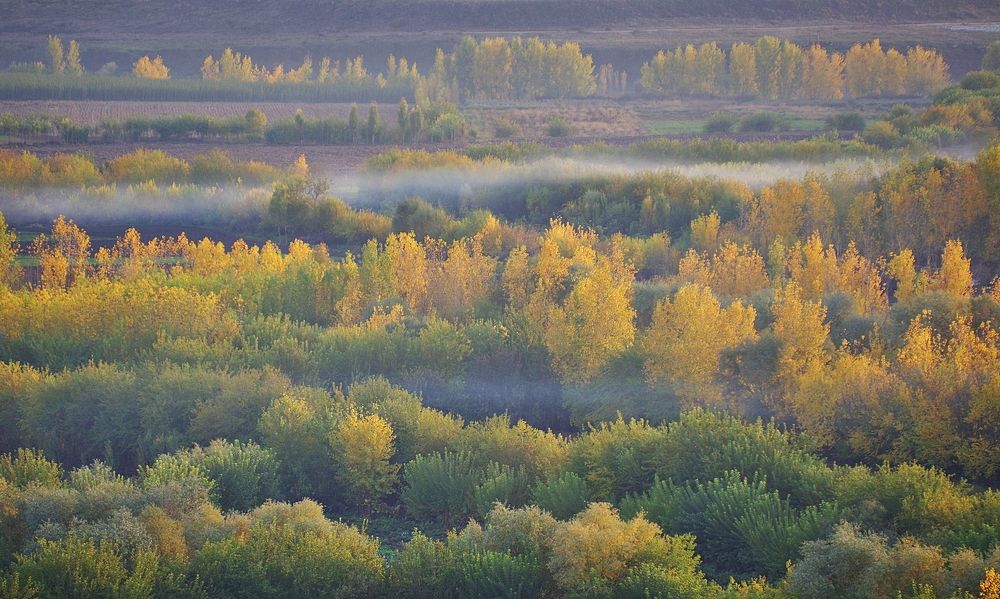 Photograph by Mehmet Masum Suer