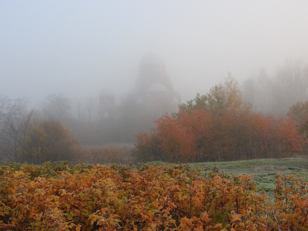 Фотография автора Юлия Овчинникова