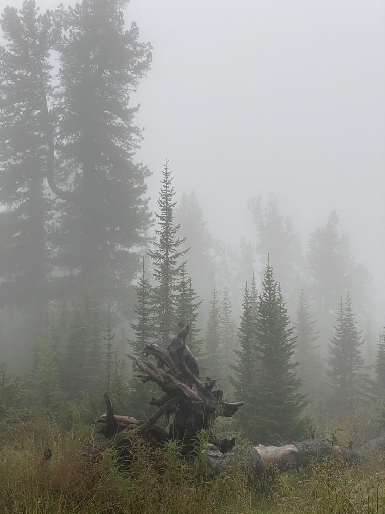 Фотография автора Шутенкова Евгения