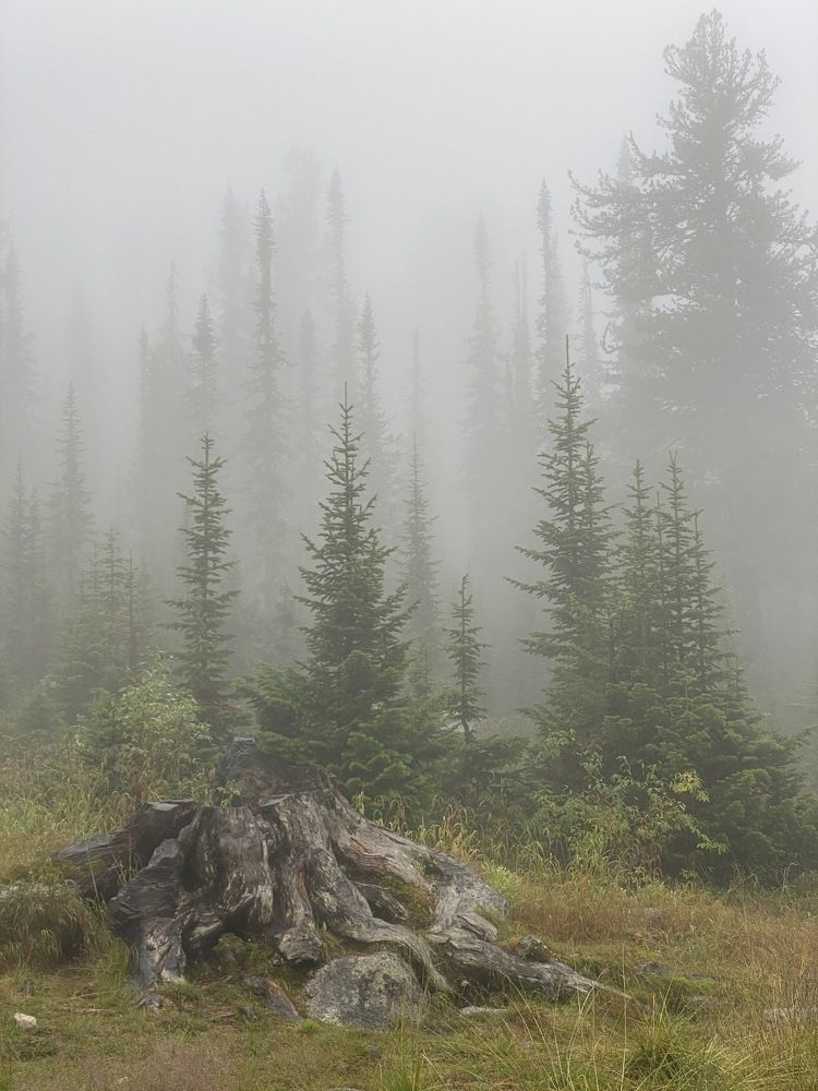 Фотография автора Шутенкова Евгения