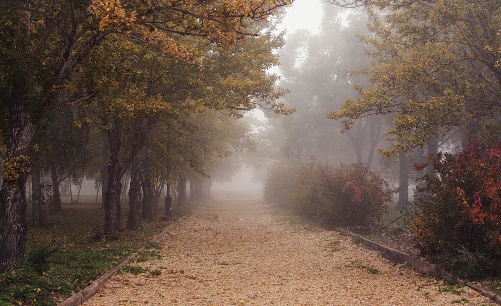 Фотография автора Мария Шабурникова