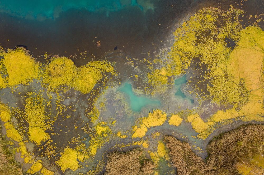 Фотография автора Дмитрий Храмцов