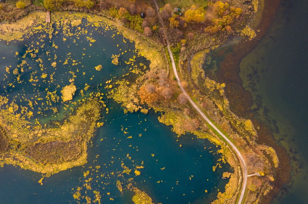 Фотография автора Дмитрий Храмцов