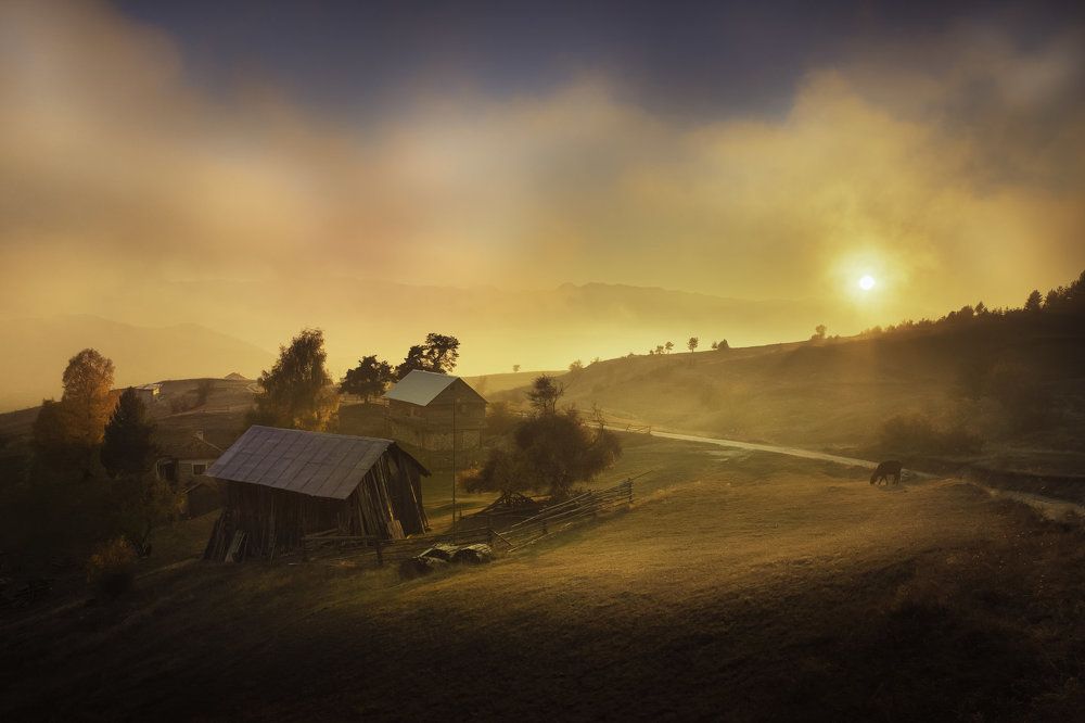 Photograph by Slavi Zayakov