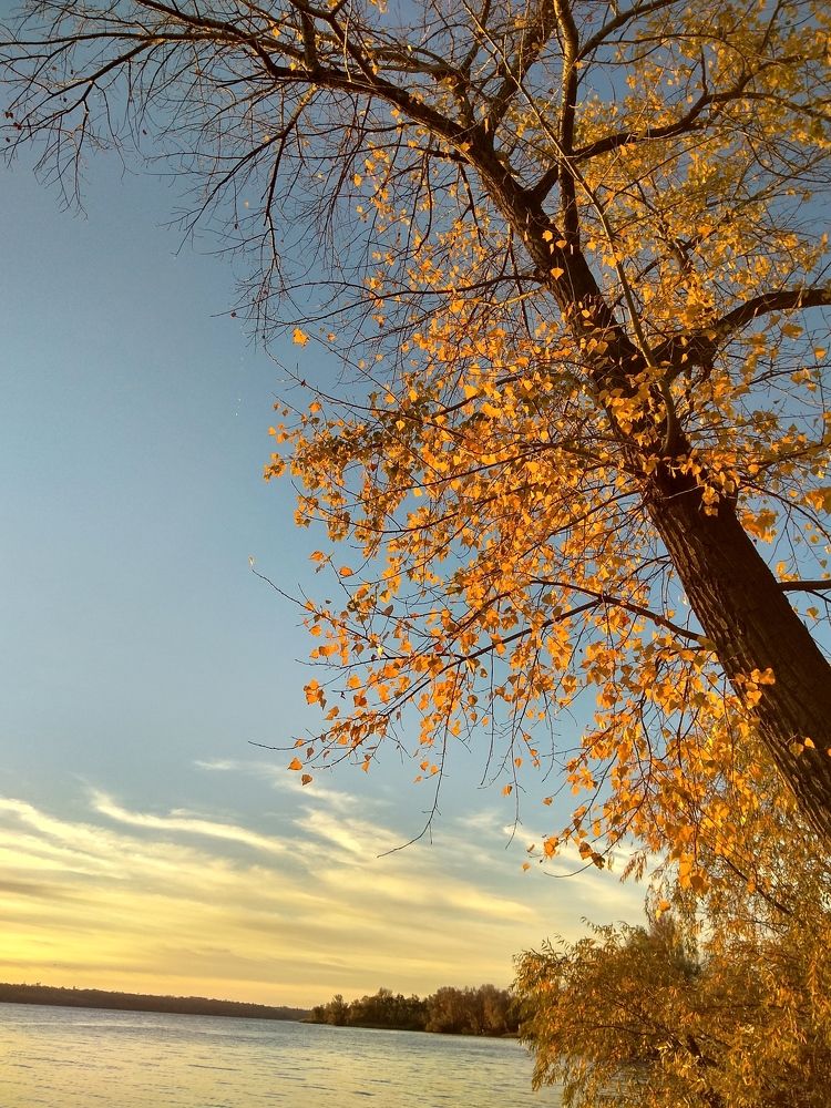 Мобильная фотография