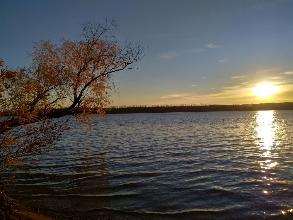 Мобильная фотография