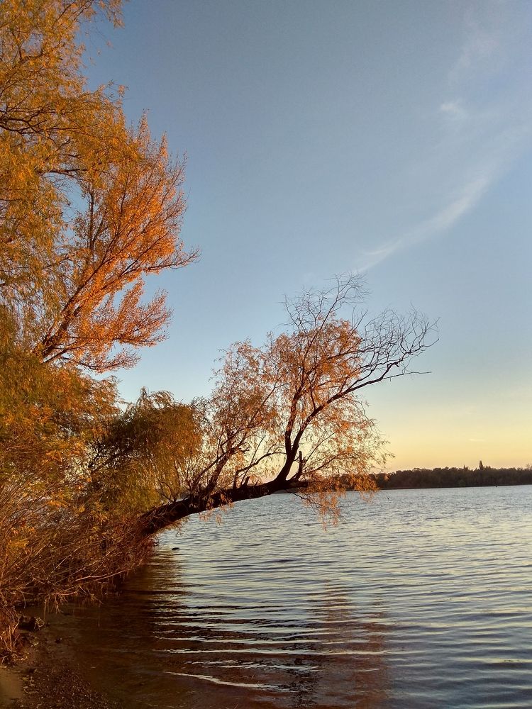 Золотая осень