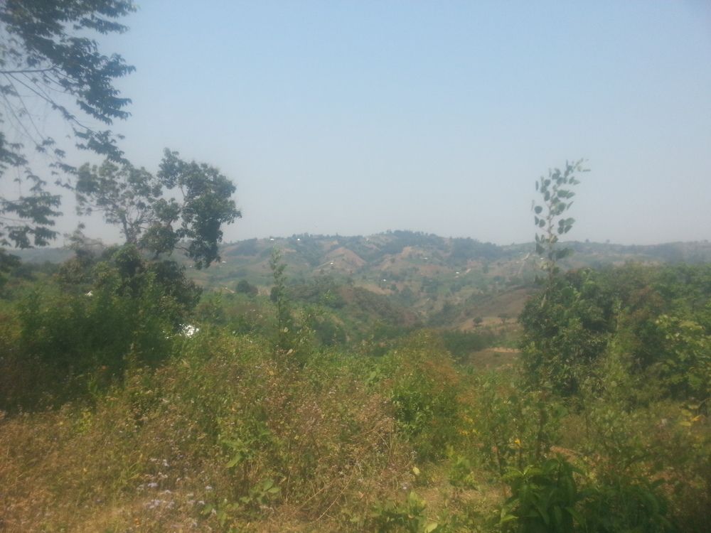 Photo #6744338