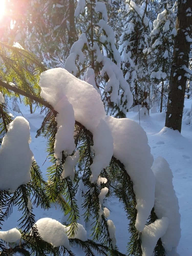 Photograph by Светлана Олина