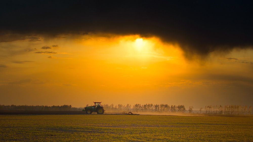 Photograph by Роман Пухов