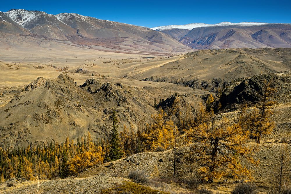 Осень на Алтае