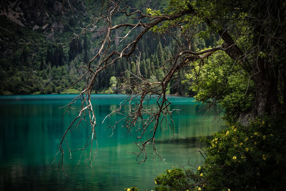 Photograph by Sergei Kidryasov