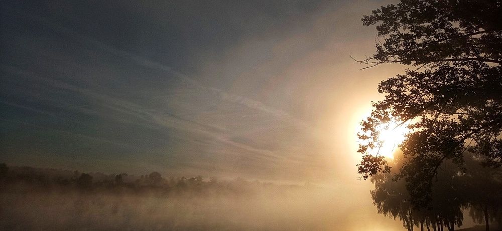 Фотография автора Карина Сёма