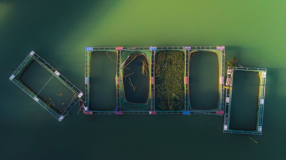Fish cage farming in the river