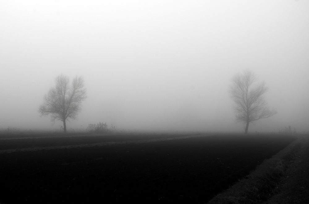 Photograph by Lothar Boris Piltz