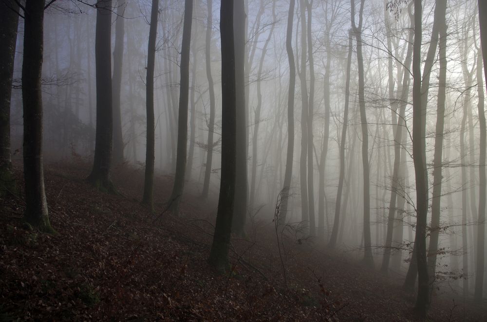 Photograph by Lothar Boris Piltz