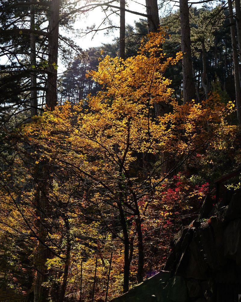 Photograph by Маргарита Рытикова