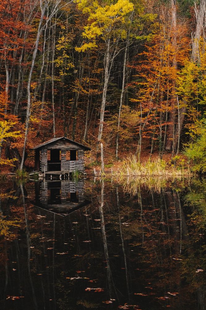 Photograph by Маргарита Рытикова