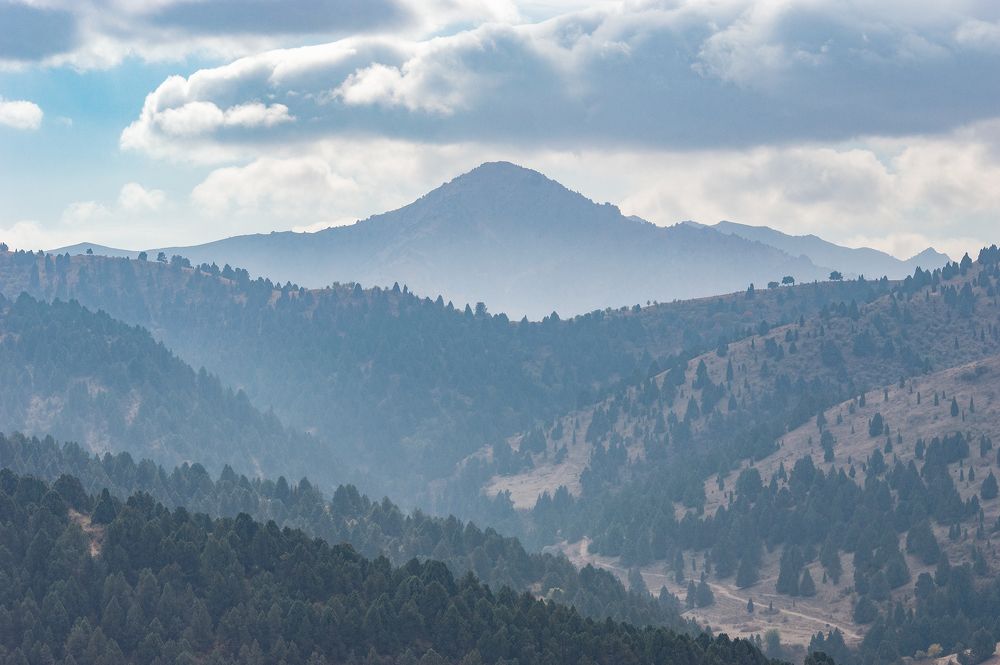 Photograph by Ruslan Ruslan