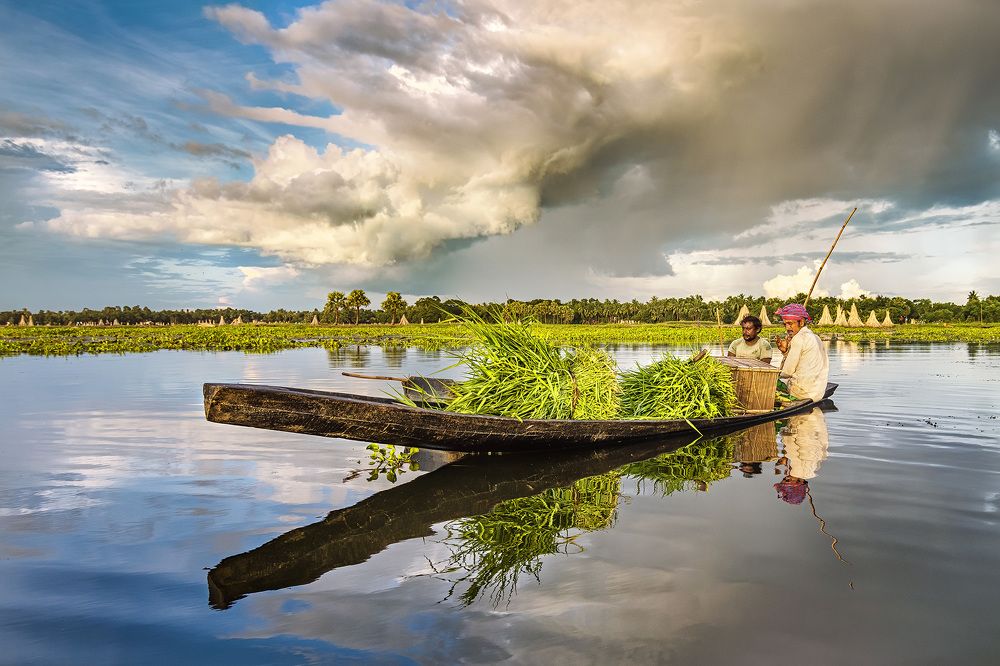 Photograph by Joyraj Samanta