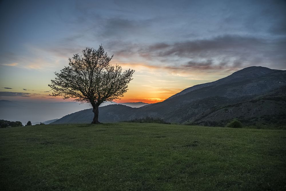 Фотография автора Farhad Alidost