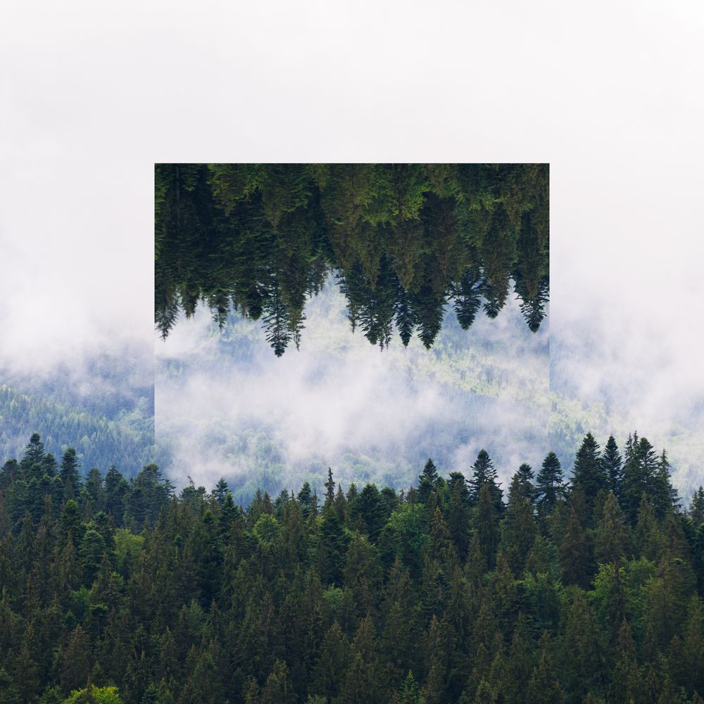 Photograph by Антон Барановский