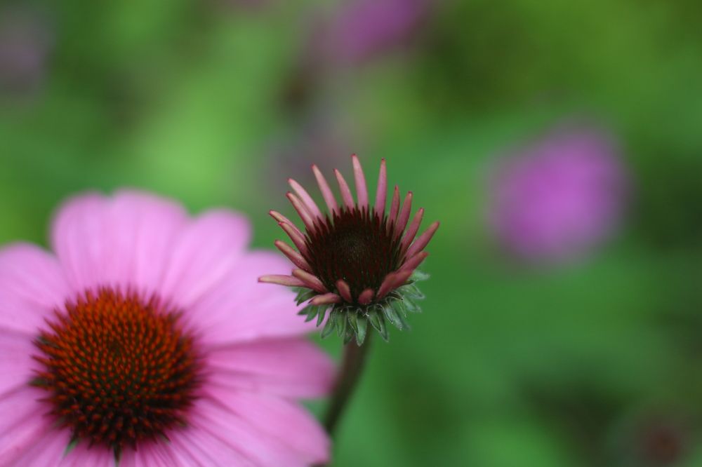 Photograph by Александр Затямин