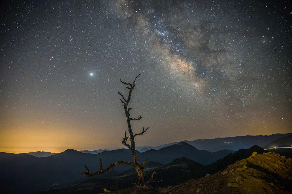 Фотография автора Farhad Alidost