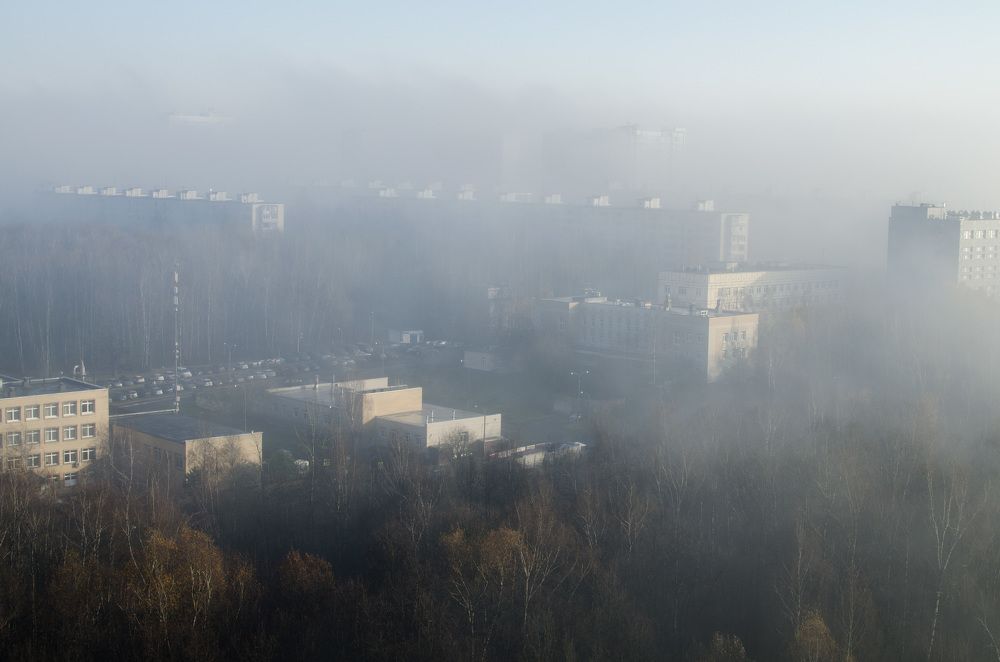 Фотография автора Людмила Куприянова