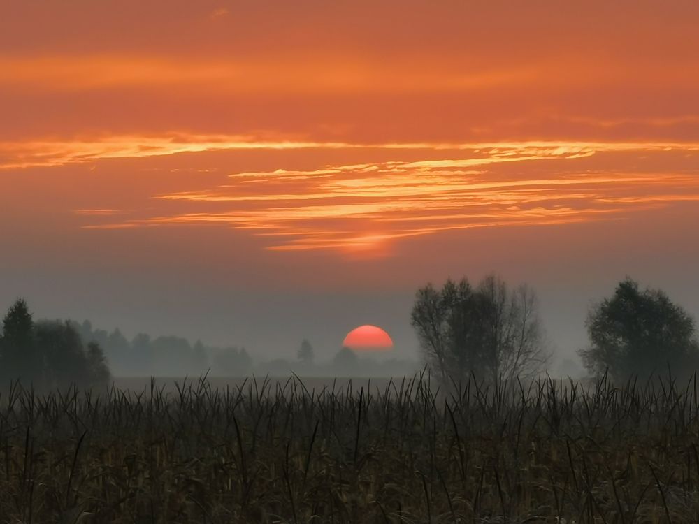 Photograph by Алексей Тарасов