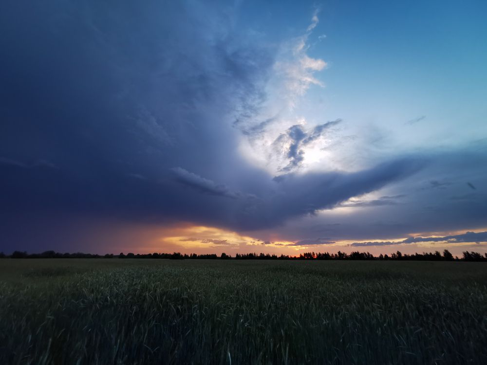 Photograph by Алексей Тарасов