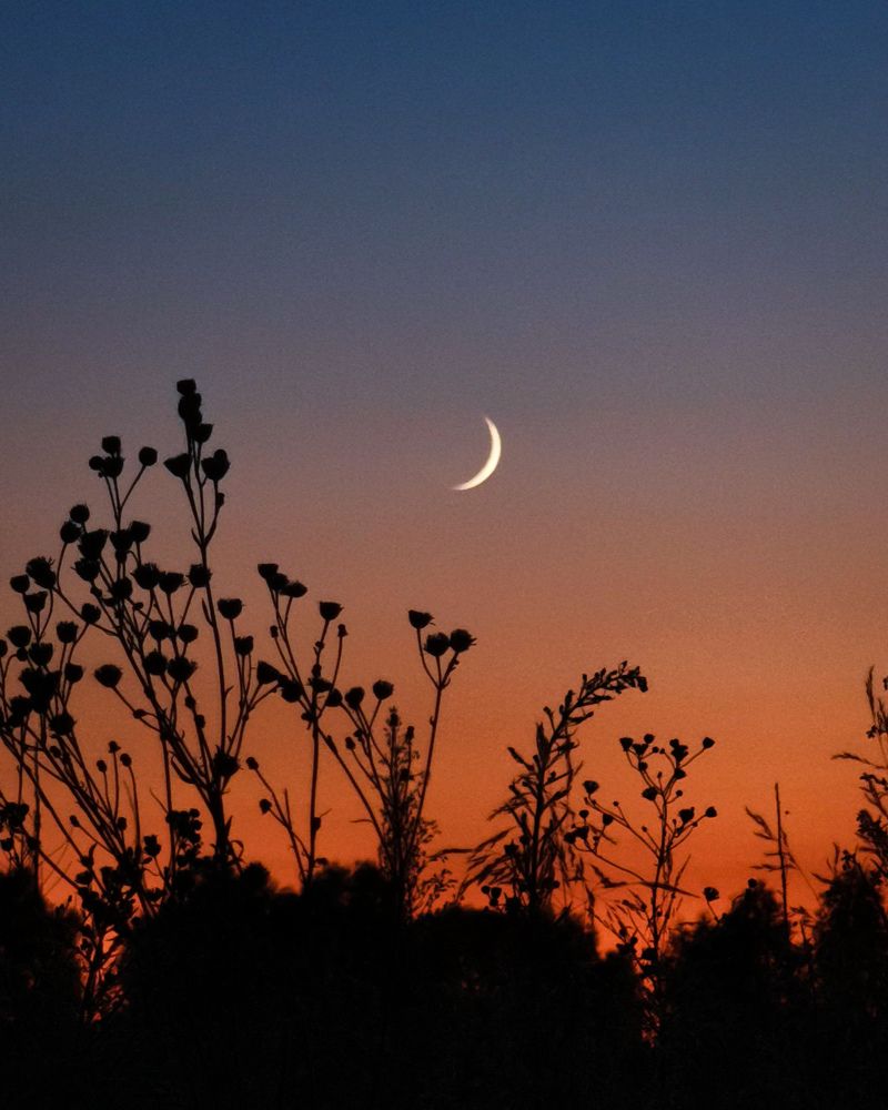 Photograph by Алексей Тарасов