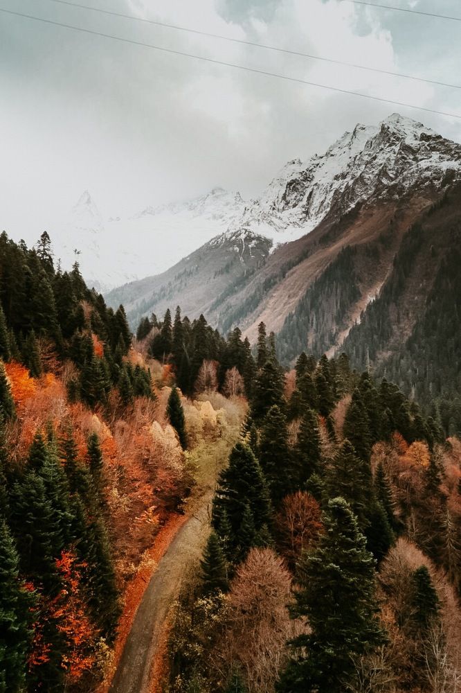 Photograph by Александрина Маринова