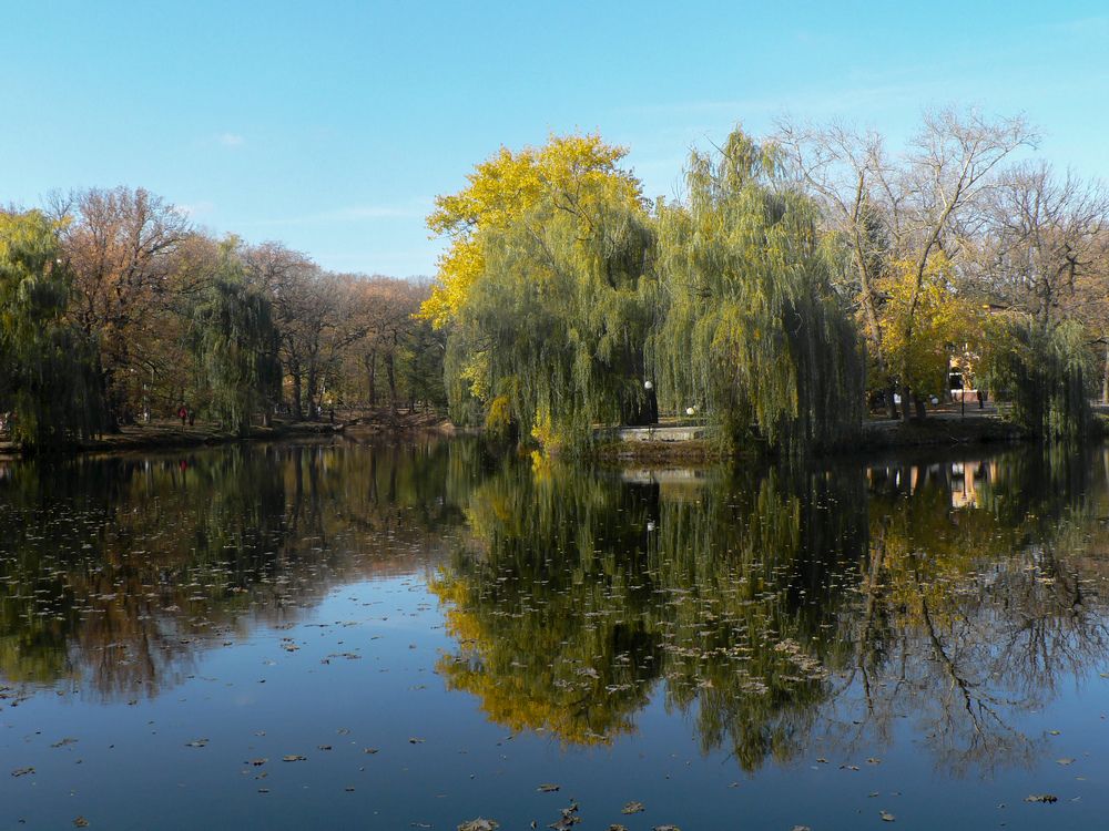 Photograph by Елена Курганская